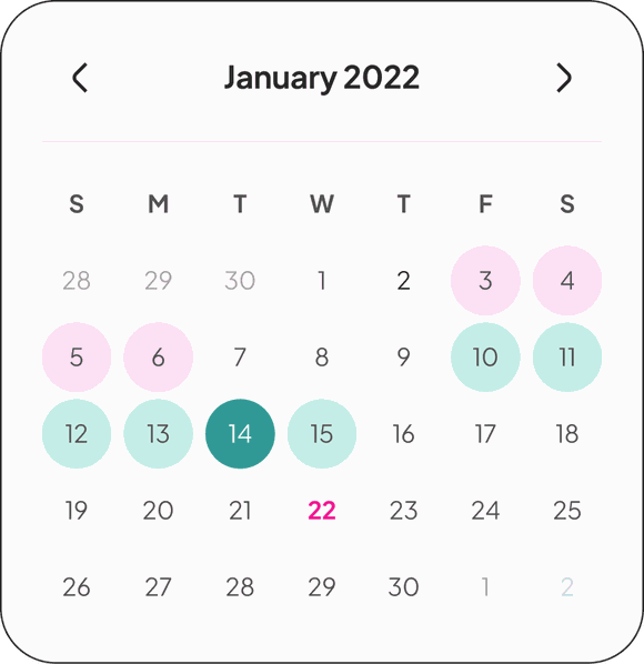 SheSync cycle calendar — period days and the predicted fertile window at a glance