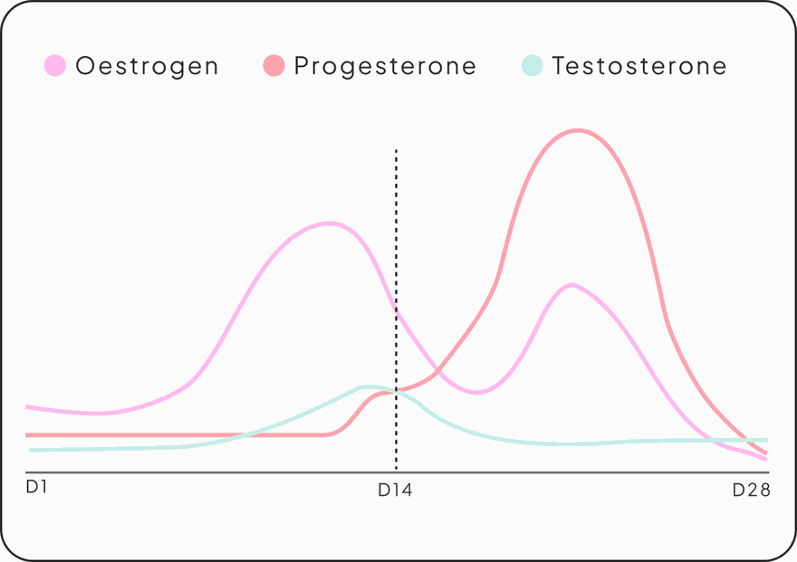 SheSync hormone chart — oestrogen, progesterone and testosterone plotted across a 28-day cycle, with day 14 marked